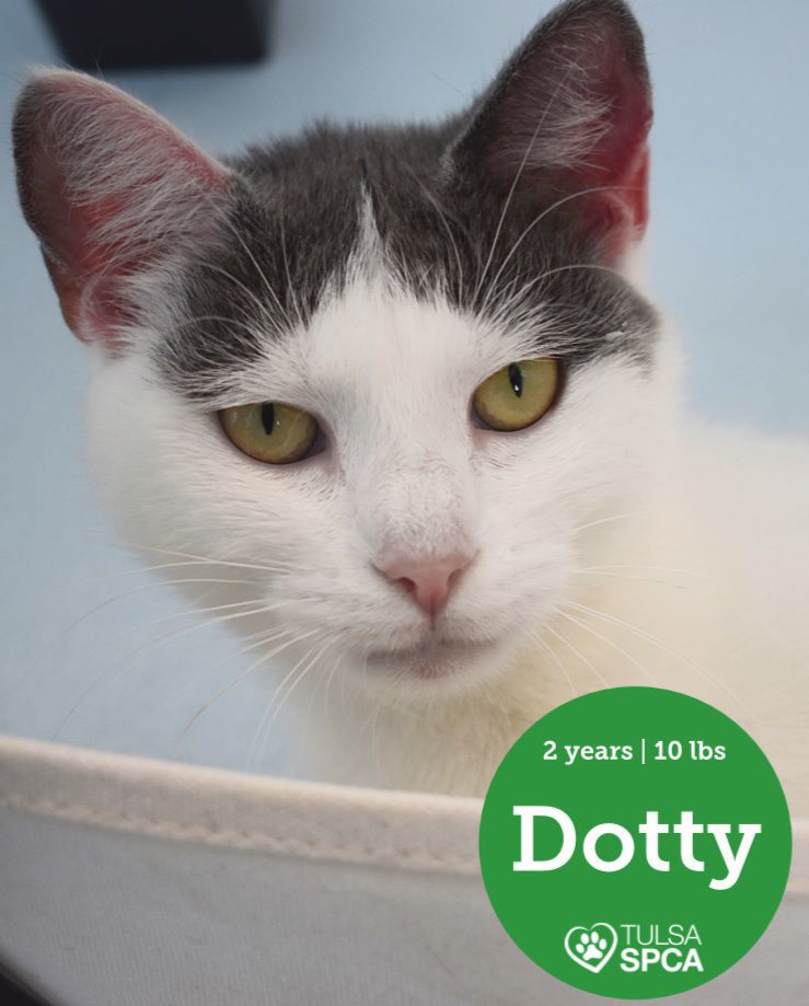 Dotty